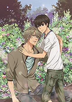 【中古】 SUPER LOVERS 2第5巻限定版 [Blu-ray]