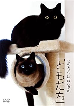 【中古】 しゃべるねこ、しおちゃん「ともだち」 [DVD]