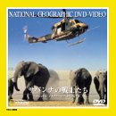 【中古】 サバンナの戦士たち [DVD]