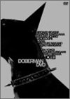 【中古】DOBERMANDVD