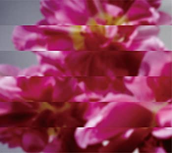 Video CDs - 【中古】 何度でも新しく生まれる (DVD付)
