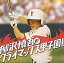 【中古】 柳沢慎吾のクライマックス甲子園!! 3,980円