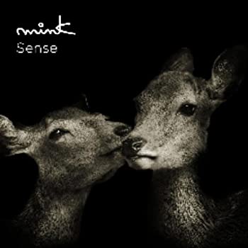 【中古】 Sense (初回限定オータムプライス盤) (DVD付)