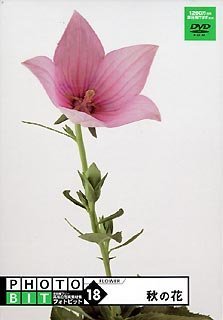 【中古】 Photobit 18 秋の花