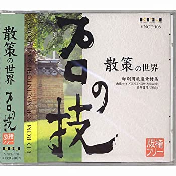 【中古】 プロの技 散策の世界