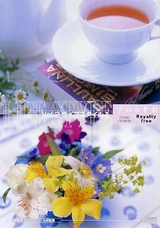 【中古】 プロの素材 Vol.2 ライフスタイル 2