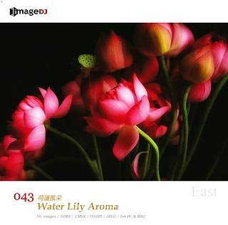 【中古】 EAST vol.43 睡蓮の香り Water Lily Aroma