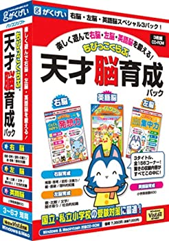 【中古】 ちびっこくらぶ 天才脳育成パック