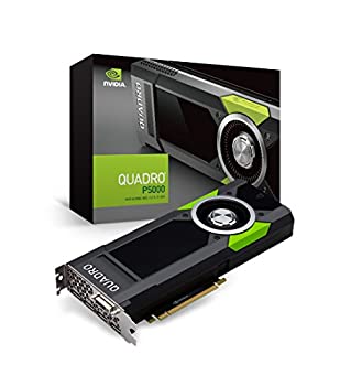 【中古】 ELSA NVIDIA Quadro P5000 グラフィックスボード VD6178 EQP5000-16GER