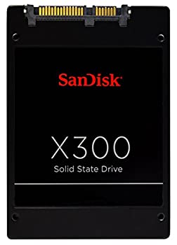 š SD7SB7S-512G-1122 X300 SSD (512GB 2.5 SATA 6G 7mm ) 