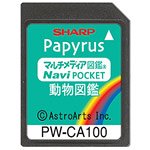 【中古】 SHARP シャープ コンテンツカード 動物図鑑カード PW-CA100 PW-J5000対応 