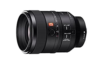 【メーカー名】Sony【メーカー型番】SEL100F28GM【ブランド名】ソニー SONY 掲載画像は全てイメージです。実際の商品とは色味等異なる場合がございますのでご了承ください。【 ご注文からお届けまで 】・ご注文　：ご注文は24時間受け付けております。・注文確認：当店より注文確認メールを送信いたします。・入金確認：ご決済の承認が完了した翌日よりお届けまで2〜7営業日前後となります。　※海外在庫品の場合は2〜4週間程度かかる場合がございます。　※納期に変更が生じた際は別途メールにてご確認メールをお送りさせて頂きます。　※お急ぎの場合は事前にお問い合わせください。・商品発送：出荷後に配送業者と追跡番号等をメールにてご案内致します。　※離島、北海道、九州、沖縄は遅れる場合がございます。予めご了承下さい。　※ご注文後、当店よりご注文内容についてご確認のメールをする場合がございます。期日までにご返信が無い場合キャンセルとさせて頂く場合がございますので予めご了承下さい。【 在庫切れについて 】他モールとの併売品の為、在庫反映が遅れてしまう場合がございます。完売の際はメールにてご連絡させて頂きますのでご了承ください。【 初期不良のご対応について 】・商品が到着致しましたらなるべくお早めに商品のご確認をお願いいたします。・当店では初期不良があった場合に限り、商品到着から7日間はご返品及びご交換を承ります。初期不良の場合はご購入履歴の「ショップへ問い合わせ」より不具合の内容をご連絡ください。・代替品がある場合はご交換にて対応させていただきますが、代替品のご用意ができない場合はご返品及びご注文キャンセル（ご返金）とさせて頂きますので予めご了承ください。【 中古品ついて 】中古品のため画像の通りではございません。また、中古という特性上、使用や動作に影響の無い程度の使用感、経年劣化、キズや汚れ等がある場合がございますのでご了承の上お買い求めくださいませ。◆ 付属品について商品タイトルに記載がない場合がありますので、ご不明な場合はメッセージにてお問い合わせください。商品名に『付属』『特典』『○○付き』等の記載があっても特典など付属品が無い場合もございます。ダウンロードコードは付属していても使用及び保証はできません。中古品につきましては基本的に動作に必要な付属品はございますが、説明書・外箱・ドライバーインストール用のCD-ROM等は付属しておりません。◆ ゲームソフトのご注意点・商品名に「輸入版 / 海外版 / IMPORT」と記載されている海外版ゲームソフトの一部は日本版のゲーム機では動作しません。お持ちのゲーム機のバージョンなど対応可否をお調べの上、動作の有無をご確認ください。尚、輸入版ゲームについてはメーカーサポートの対象外となります。◆ DVD・Blu-rayのご注意点・商品名に「輸入版 / 海外版 / IMPORT」と記載されている海外版DVD・Blu-rayにつきましては映像方式の違いの為、一般的な国内向けプレイヤーにて再生できません。ご覧になる際はディスクの「リージョンコード」と「映像方式(DVDのみ)」に再生機器側が対応している必要があります。パソコンでは映像方式は関係ないため、リージョンコードさえ合致していれば映像方式を気にすることなく視聴可能です。・商品名に「レンタル落ち 」と記載されている商品につきましてはディスクやジャケットに管理シール（値札・セキュリティータグ・バーコード等含みます）が貼付されています。ディスクの再生に支障の無い程度の傷やジャケットに傷み（色褪せ・破れ・汚れ・濡れ痕等）が見られる場合があります。予めご了承ください。◆ トレーディングカードのご注意点トレーディングカードはプレイ用です。中古買取り品の為、細かなキズ・白欠け・多少の使用感がございますのでご了承下さいませ。再録などで型番が違う場合がございます。違った場合でも事前連絡等は致しておりませんので、型番を気にされる方はご遠慮ください。