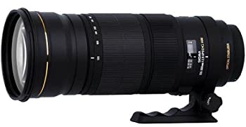 【中古】 SIGMA シグマ APO 120-300mm F2.8 EX DG OS HSM NA ニコン用