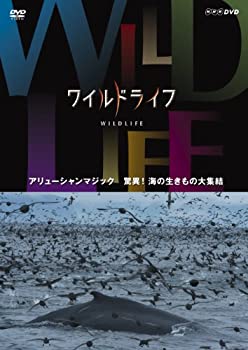【中古】 ワイルドライフ アリューシャンマジック 驚異! 海の生きもの大集結 [DVD]