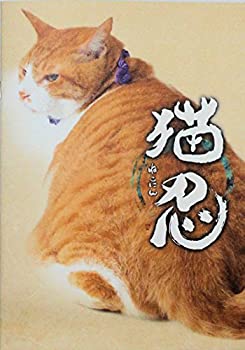 【中古】 【映画パンフレット】 猫忍 NEKONIN 監督 渡辺武 キャスト 大野拓朗 佐藤江梨子 藤本泉 渋川清彦 鈴木福 ふせえり 永澤俊矢 柄