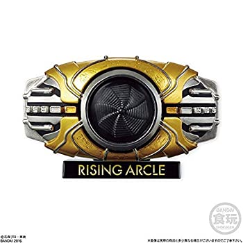 【中古】 HYPER DETAIL GEAR 仮面ライダー ［02.ライジングアークル］ (単品)