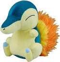【中古】 ポケットモンスター NEWポケモンぬいぐるみ ヒノアラシ(3)