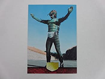 安い仮面ライダー ハエ男の通販商品を比較 | ショッピング情報の 安い仮面ライダー ハエ男の通販商品を比較 | ショッピング情報の