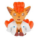 【中古】 ポケモンセンターオリジナル ぬいぐるみ 百ポケ夜行のロコン