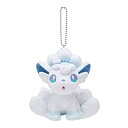 【中古】 ポケモンセンターオリジナル マスコット アローラロコン