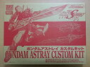 【中古】 BANDAI HG 1/144 機動戦士ガンダムSEED DESTINY ガンダムアストレイ カスタムキット プラモデル (月刊ホビージャパン 2013年10月号 付録)