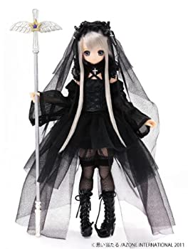 MSS (Music Shop Shaker) - �y���Áz �������� ����[�� �������q �Ђ߂� ���g���E�B�b�` �I�u �X�^�[���C�g