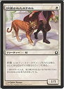 【中古】 MTG (マジックザギャザリング) 訓練されたカラカル/Trained Caracal (コモン) / ラヴニカへの回帰