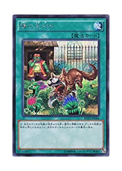 【中古】 遊戯王 日本語版 RATE-JP066 That Grass Looks Greener 隣の芝刈り (シークレットレア)