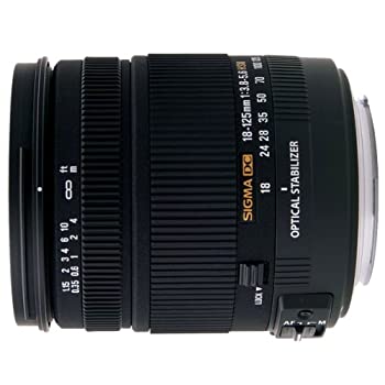 【中古】 シグマ 18-125mm F3.8-5.6 DC HSM ソニー用