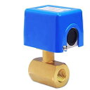 【中古】 CGOLDENWALL フロースイッチ?センサ 流量制御 流量センサースイッチ 液体ウォーターオイルセンサーコントロール 自動パドルタイプフロースイッチ