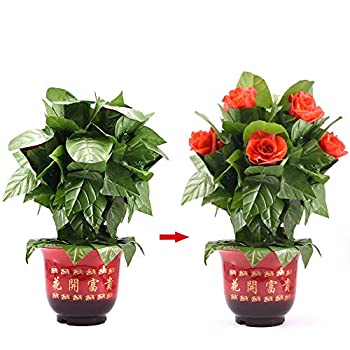 【中古】 手品 マジック 鉢の花が自動的に咲く 薔薇咲き リモートコントロール ローズアピアリング 花マジック ロマンティックマジック ウェディング