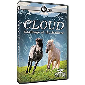【中古】 Nature Cloud Challenge of the Stallions [DVD] [輸入盤]