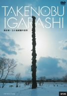 【中古】(未使用品) TAKENOBU IGARASHI 彫刻家・五十嵐威暢の世界 [DVD]