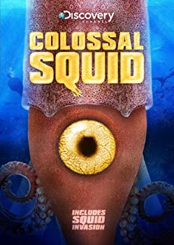 【中古】 Colossal Squid [DVD] [輸入盤]