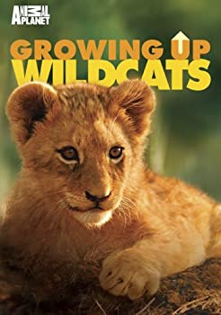 【中古】 Growing Up Wildcats [DVD] [輸入盤]