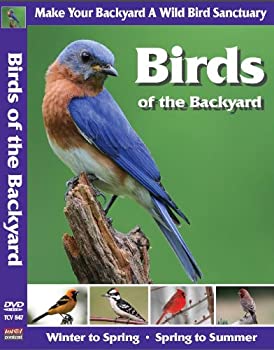 š Birds of the Backyard [DVD] [͢]