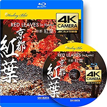 【中古】 4Kカメラ映像【Healing Blueヒーリングブルー】京都・紅葉 RED LEAVES in Kyoto 動画約40分 approx40min. 60fps感動の4Kカメラ映像80種収