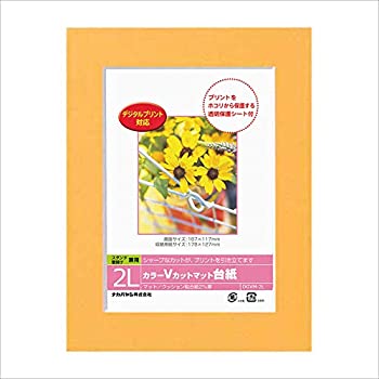 【中古】 DGVM-2L-O カラーVカットマット台紙2Lサイズ [エレクトロニクス]