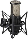 【中古】 AKG アーカーゲー コンデンサー型マイクロホン 大口径シングル ダイヤフラム PERCEPTION220