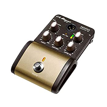Other - 【中古】 L.R.Baggs Session Acoustic D.I. アコースティックギター用プリアンプ