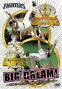 【中古】 BIG DREAM! ~コンプリート2006北海道日本ハムファイターズ~ [DVD]