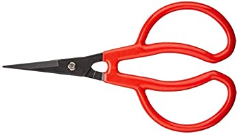 乐天商城 - 【中古】 越路 プチカット K-23