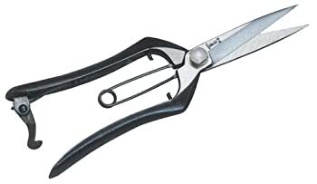 【中古】 ドウカン 道灌作 鍛造芽切鋏 両刃型 金止 DK673