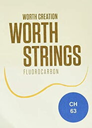 【中古】 Worth Strings CH ウクレレ弦 クリアヘビー 63インチ フロロカーボン