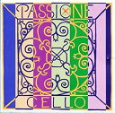 【中古】 バイオリン弦 PASSIONE パッシオーネ Pirastro ピラストロ A線