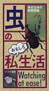 【中古】 虫のおもしろ私生活-身近な虫の観察図鑑