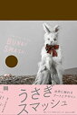 【中古】 うさぎスマッシュ 世界に触れるアートとデザイン