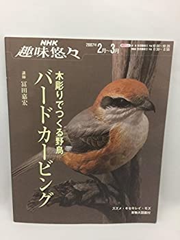  木彫りでつくる野鳥バードカービング (NHK趣味悠々)