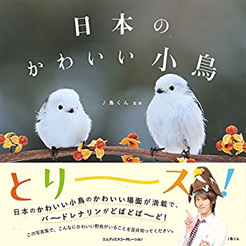 楽天バリューコネクト【中古】 日本のかわいい小鳥