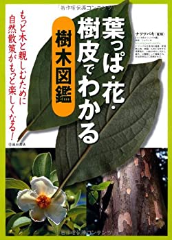 【中古】 葉っぱ 花 樹皮でわかる樹木図鑑-もっと木と親しむために 自然散策がもっと楽しくなる (池田書店の園芸シリーズ)